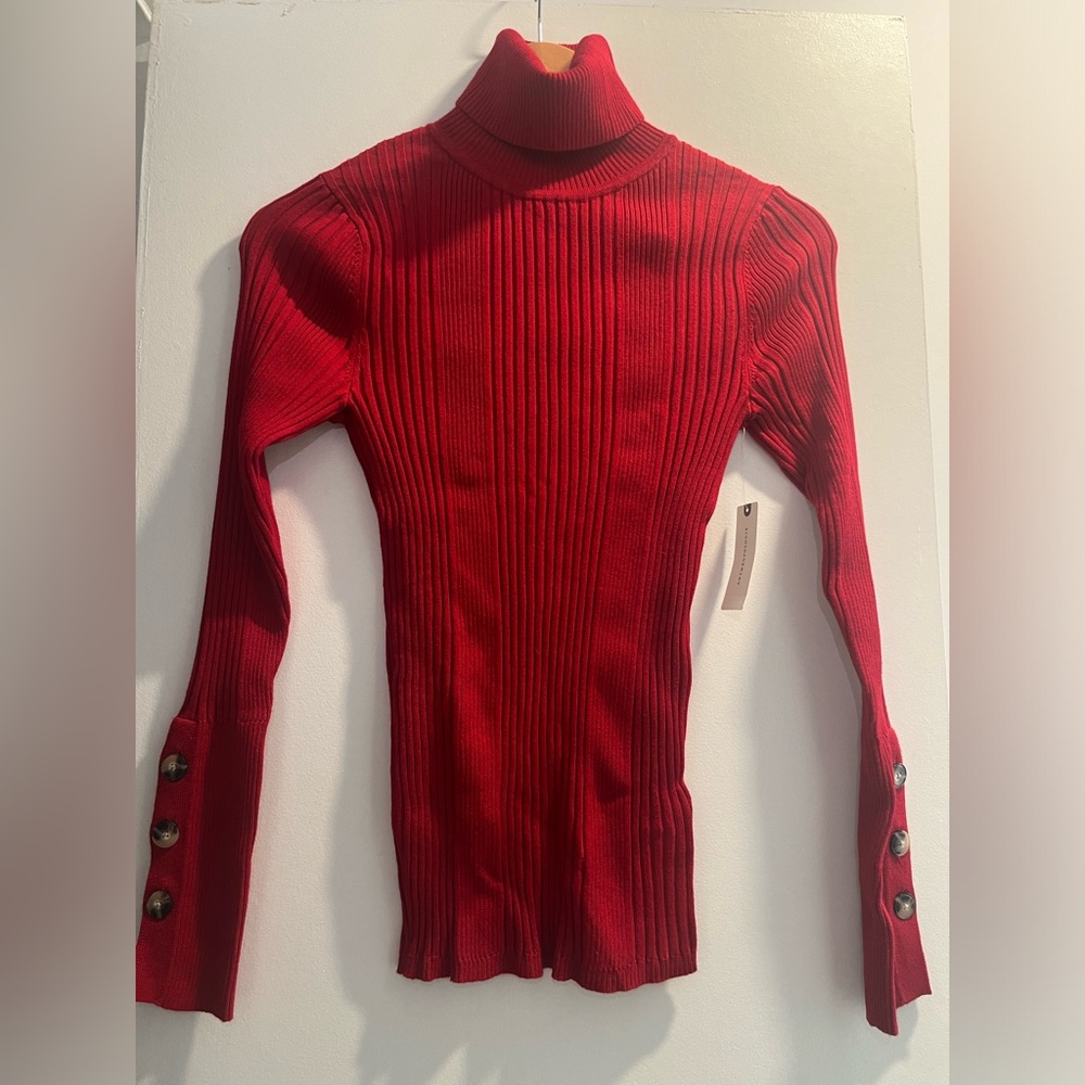 NWT Anthropologie MOTH Fitted Ribbed Turtleneck